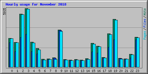 Hourly usage for November 2018