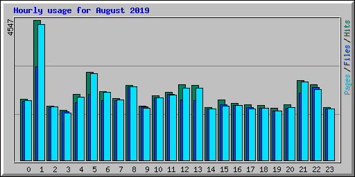 Hourly usage for August 2019